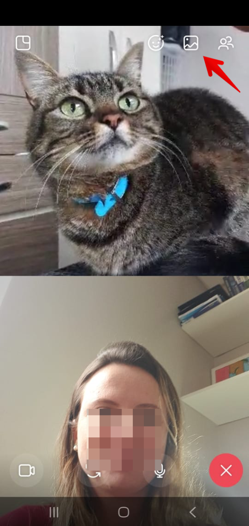 Realizando uma video chamada com um gato pelo Instagram