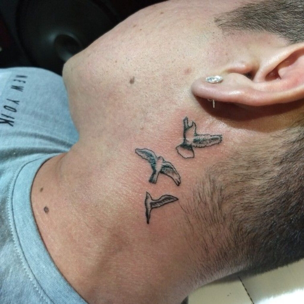 Imagem de um pescoço com uma tatuagem de aves recém feita. O homem está deitado em uma maca de estúdio e tatuou 3 aves na horizontal. As avez estão voando e passam ideia de liberdade. 